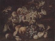 unknow artist Still life of red and white grapes,peaches and plums,on a stone ledge china oil painting artist